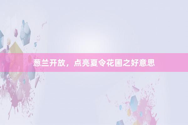 葱兰开放，点亮夏令花圃之好意思
