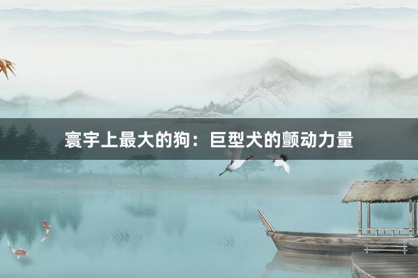 寰宇上最大的狗：巨型犬的颤动力量
